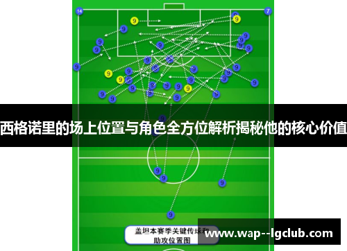 西格诺里的场上位置与角色全方位解析揭秘他的核心价值