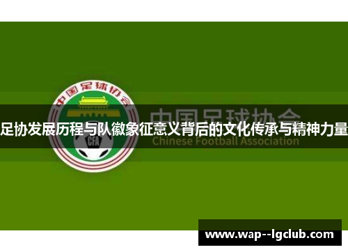 足协发展历程与队徽象征意义背后的文化传承与精神力量