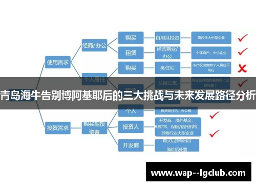 青岛海牛告别博阿基耶后的三大挑战与未来发展路径分析